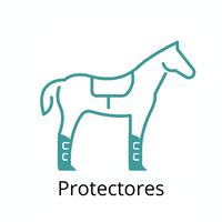 protectores equitación