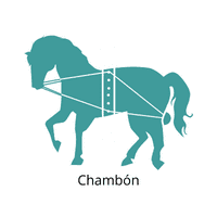 chambon