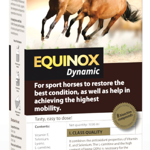 Equinox Dynamic