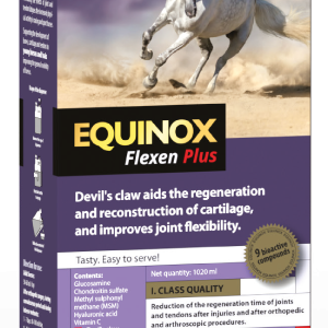 Equinox Flexen Plus