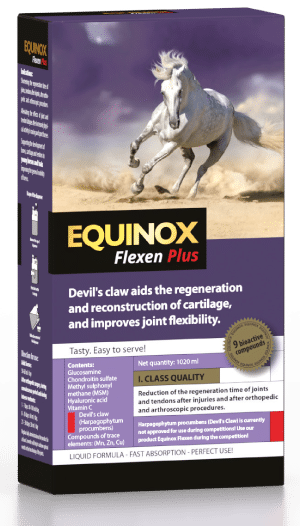 producto equinox flexen plus web