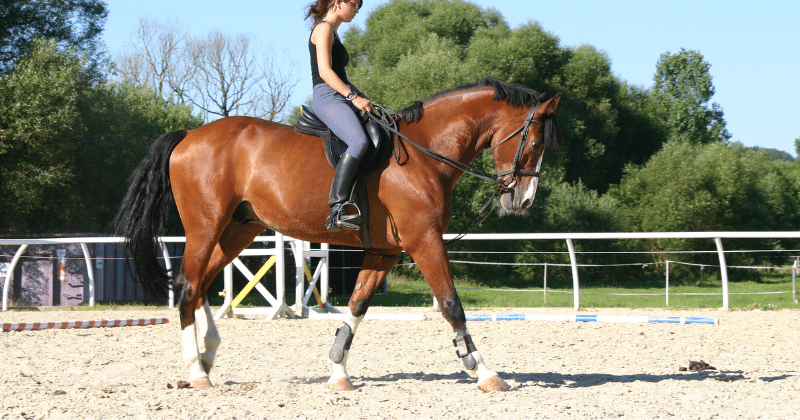 Mujer montando a caballo con pantalones de equitación de alta calidad
