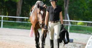 Seguridad al montar a caballo: la importancia de un equipo adecuado